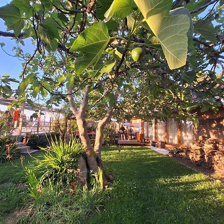 Pilgrims Rest - Vila Nova De Cerveira - Hostel - Albergue - Al 외부 사진