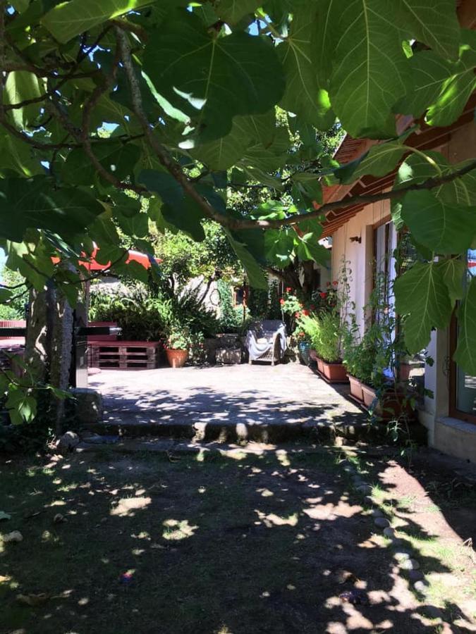 Pilgrims Rest - Vila Nova De Cerveira - Hostel - Albergue - Al 외부 사진